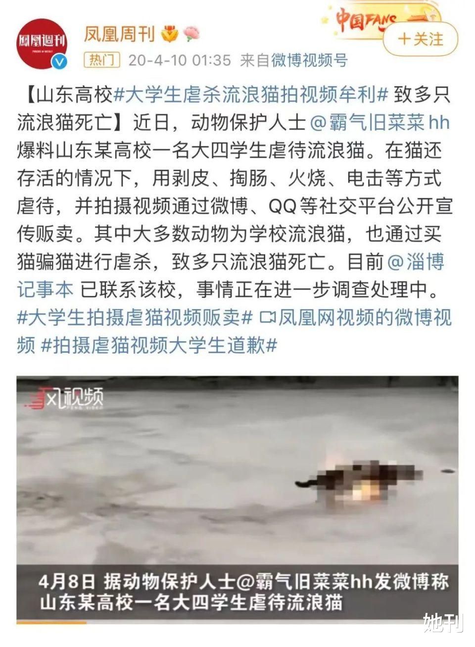 热搜上的网红，早该进监狱了 图9