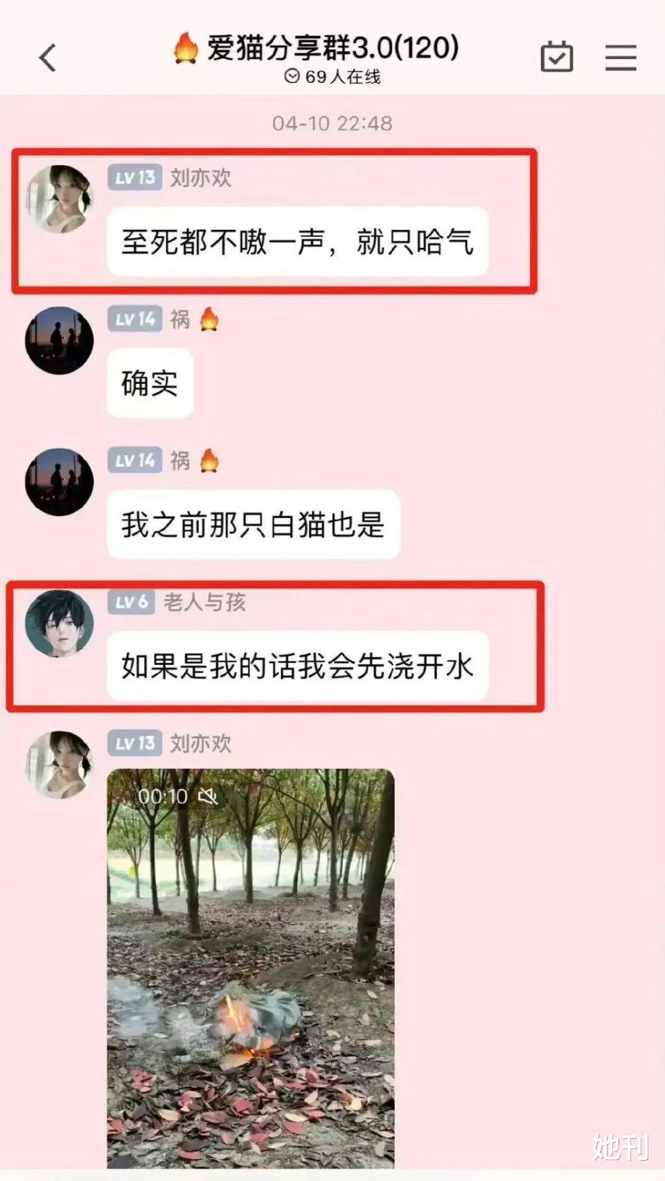 热搜上的网红，早该进监狱了 图6