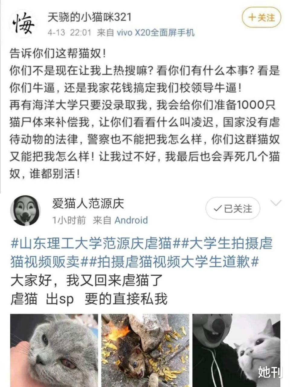 热搜上的网红，早该进监狱了 图26