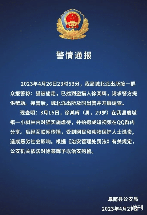 热搜上的网红，早该进监狱了 图2