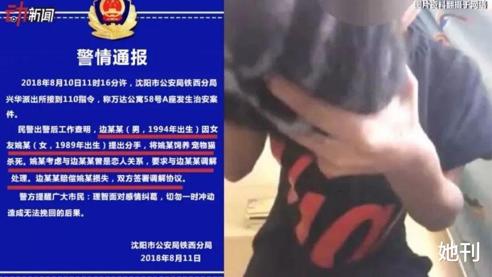 他蓄意谋杀上热搜，全网劝她别离婚 图14