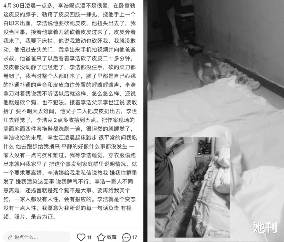 他蓄意谋杀上热搜，全网劝她别离婚